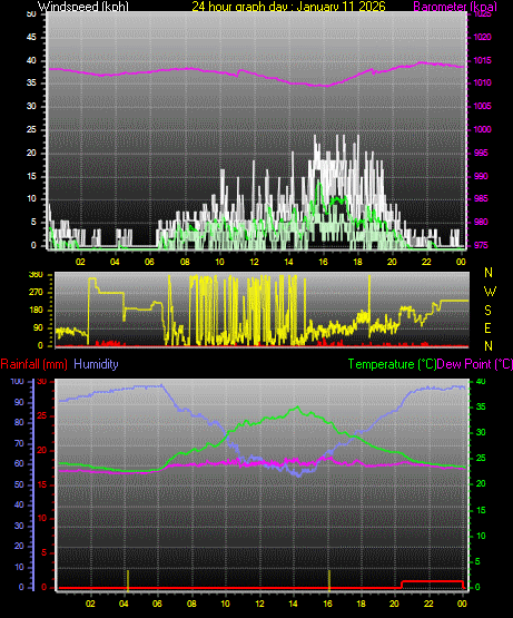 24 Hour Graph for Day 11