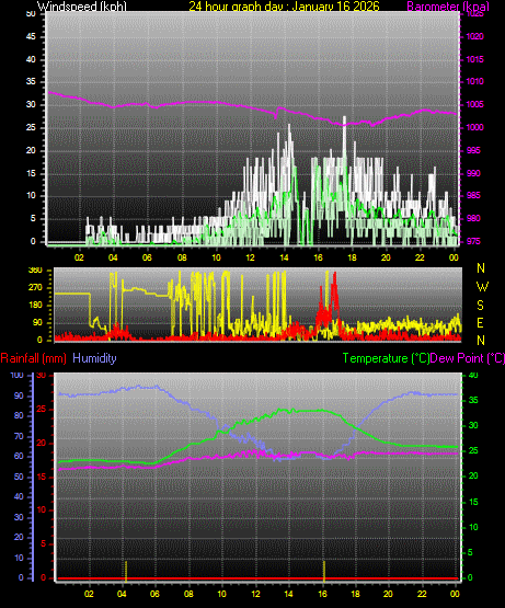 24 Hour Graph for Day 16