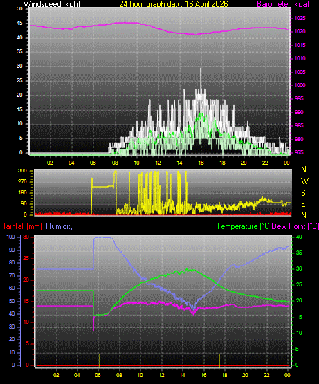 24 Hour Graph for Day 16
