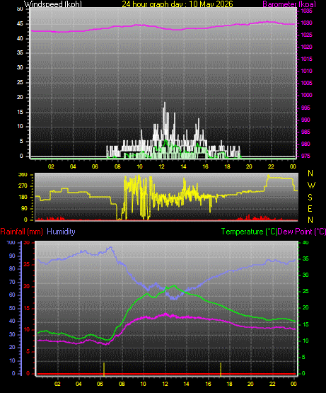 24 Hour Graph for Day 10